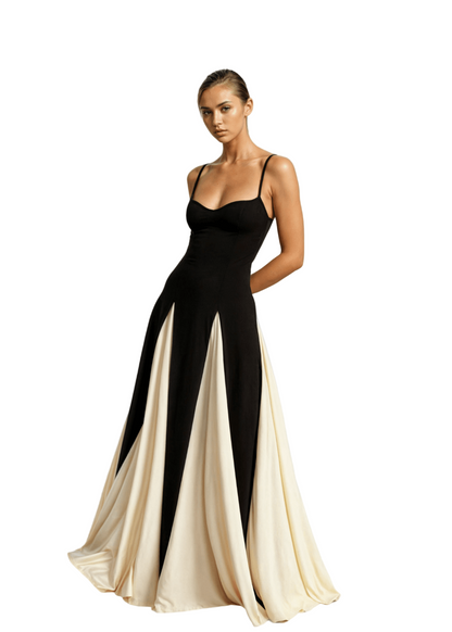 Full-Length Fitted Bodice Dress with Flared Panelled Skirt